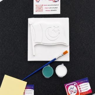 pakistan flag paint & play canvas kit